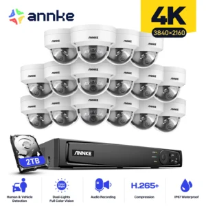 Network Video Surveillance Cameras